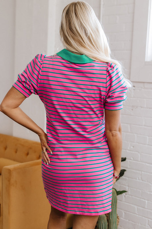 Hattie Stripe Collared T-Shirt Dress